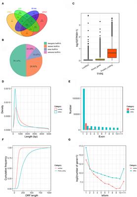 Transcriptome Analysis Revealed Potential Mechanisms of Resistance to Trichomoniasis gallinae Infection in Pigeon (Columba livia)